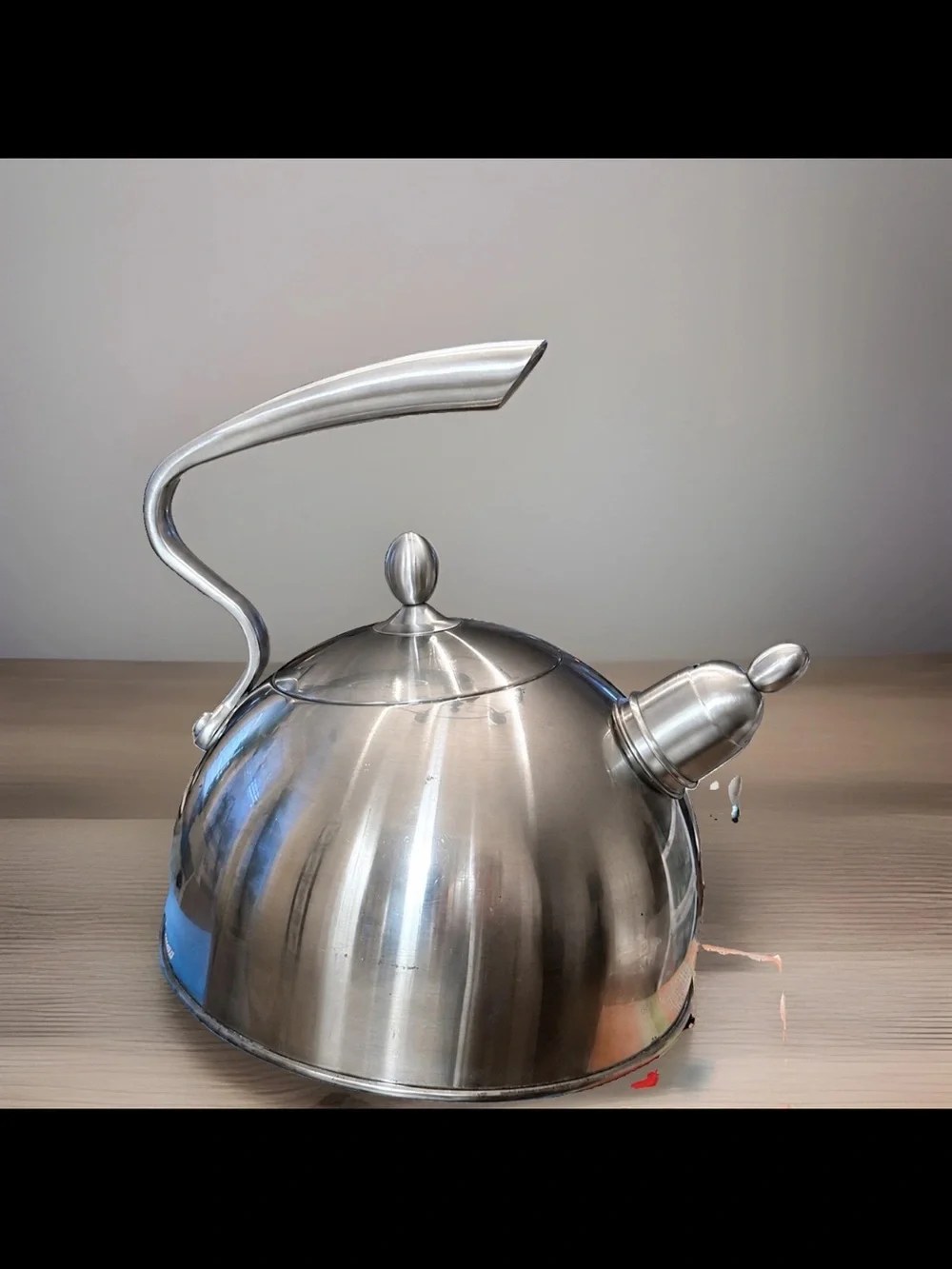 Stainless Steel Whistling Tea Kettle - Silver